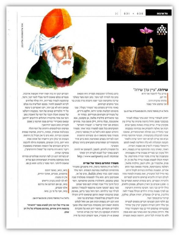 article rumi