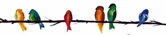 bird1