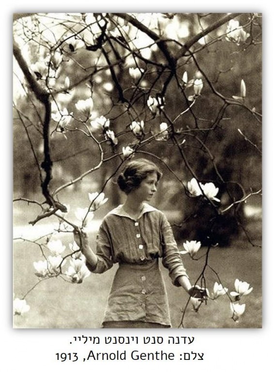 edna magnolia