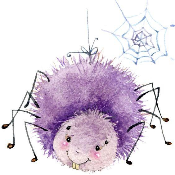 spider6
